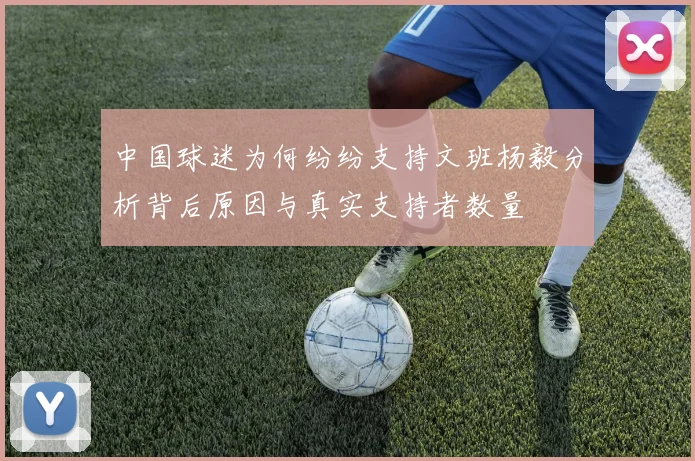 中国球迷为何纷纷支持文班杨毅分析背后原因与真实支持者数量