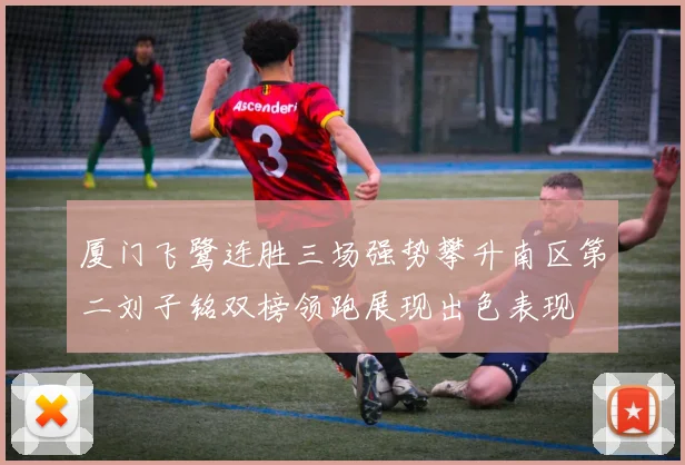 厦门飞鹭连胜三场强势攀升南区第二刘子铭双榜领跑展现出色表现